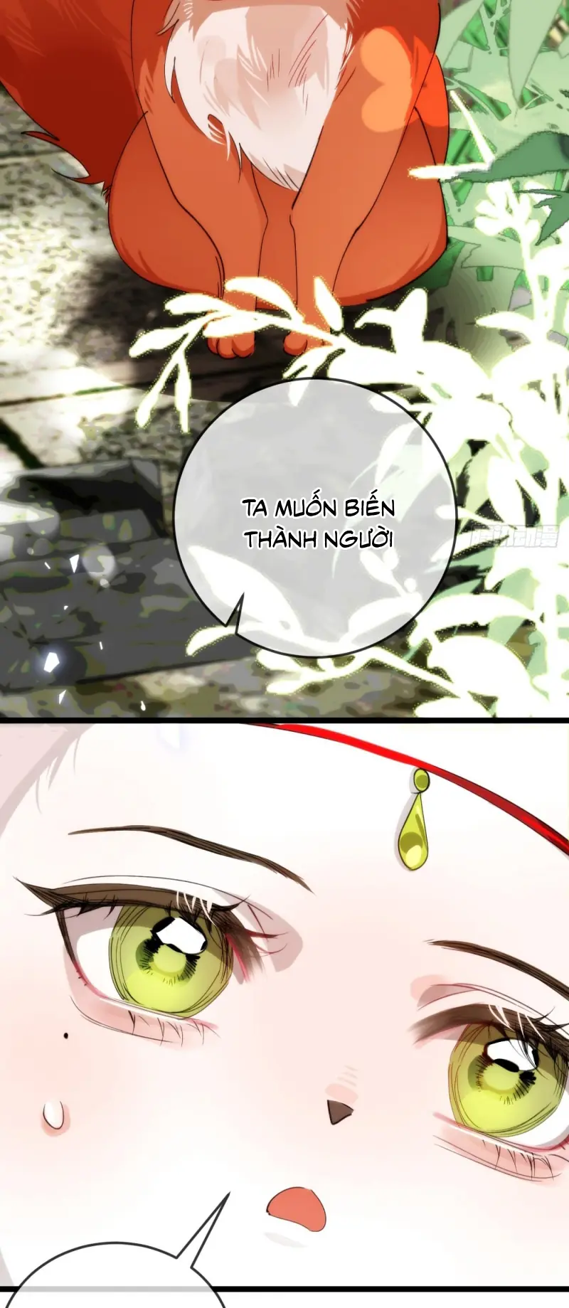 Đêm Cầu Nguyện Chapter 27 - Trang 13