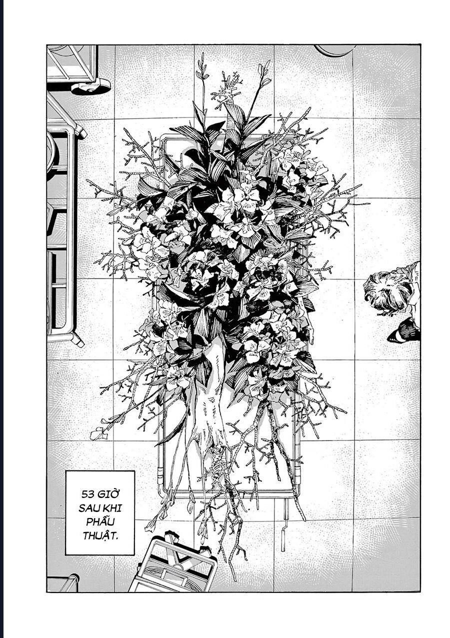 Đêm Của Kẻ Khờ Chapter 14 - Trang 3