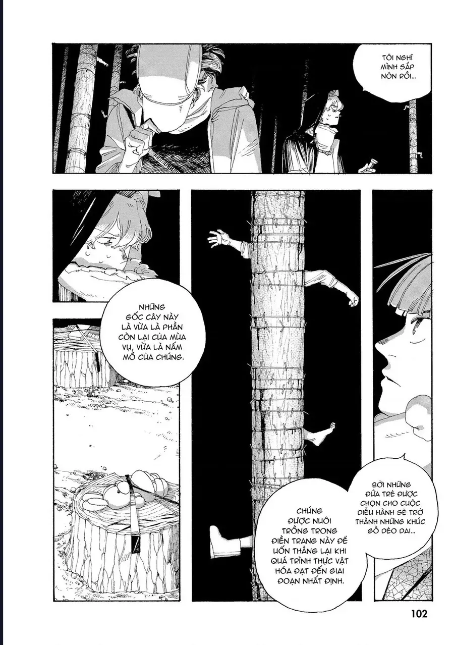 Đêm Của Kẻ Khờ Chapter 31 - Trang 11