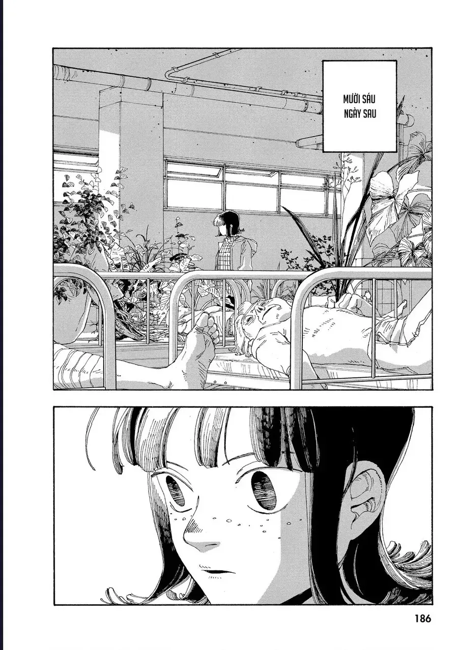 Đêm Của Kẻ Khờ Chapter 35 - Trang 12