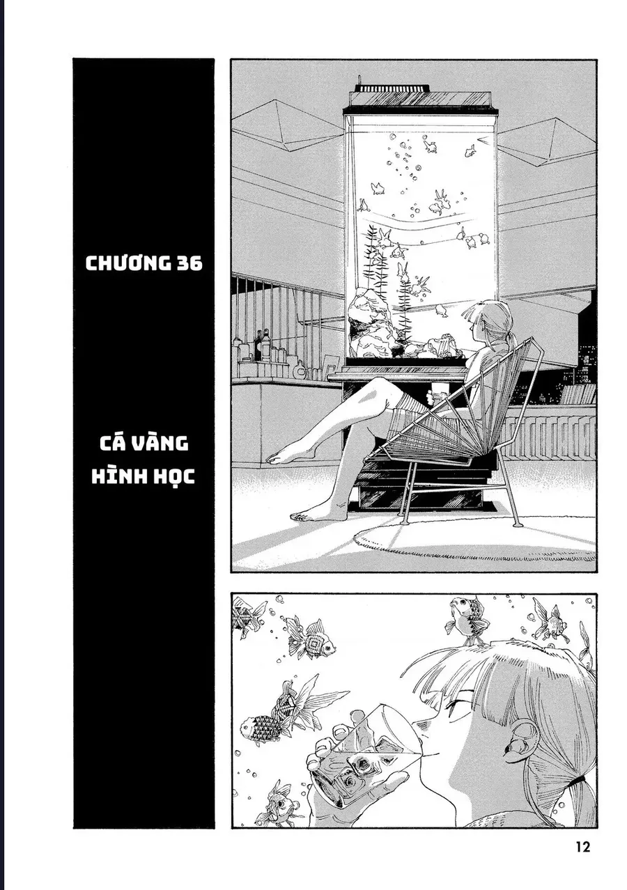 Đêm Của Kẻ Khờ Chapter 36 - Trang 14