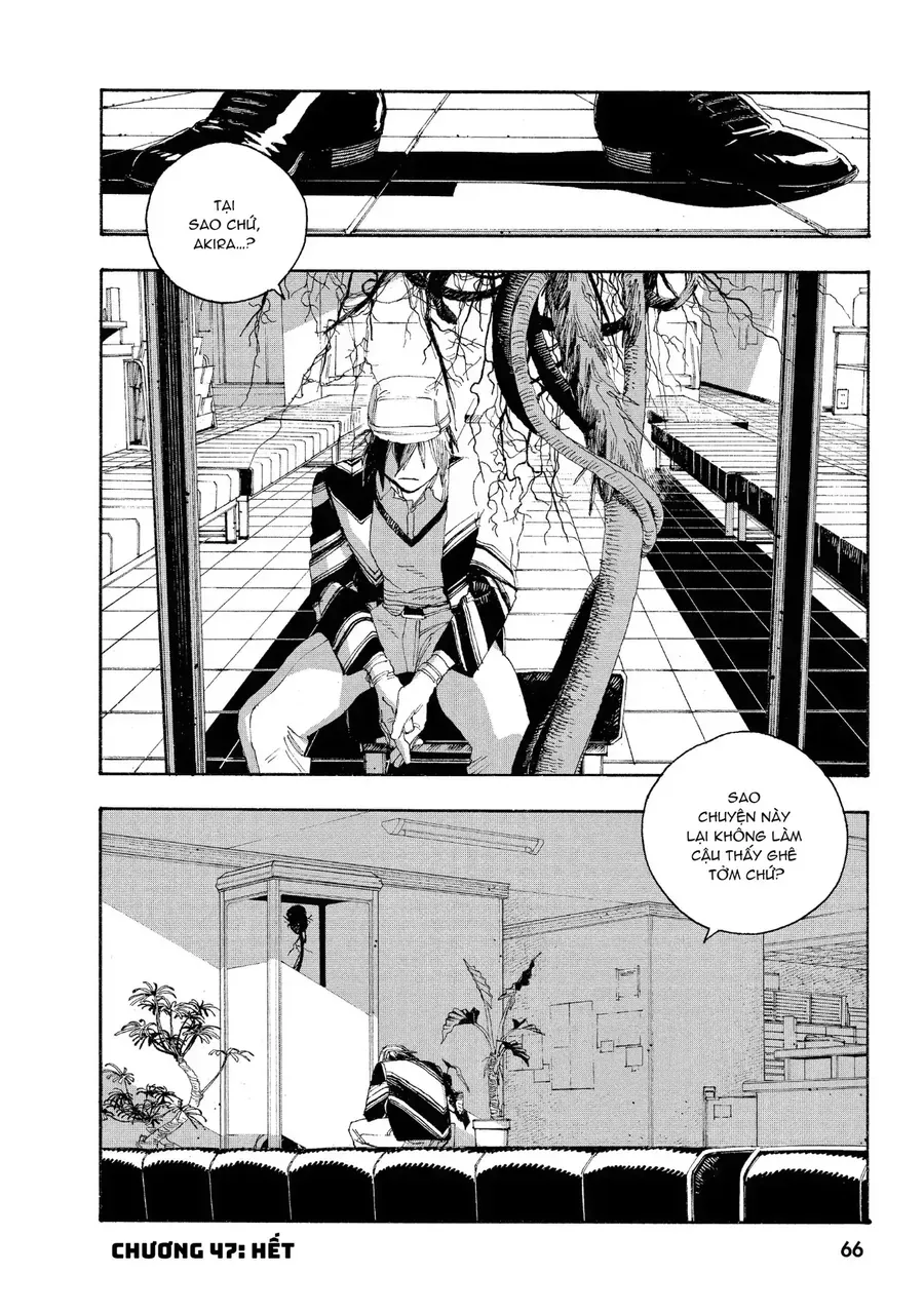 Đêm Của Kẻ Khờ Chapter 47 - Trang 16