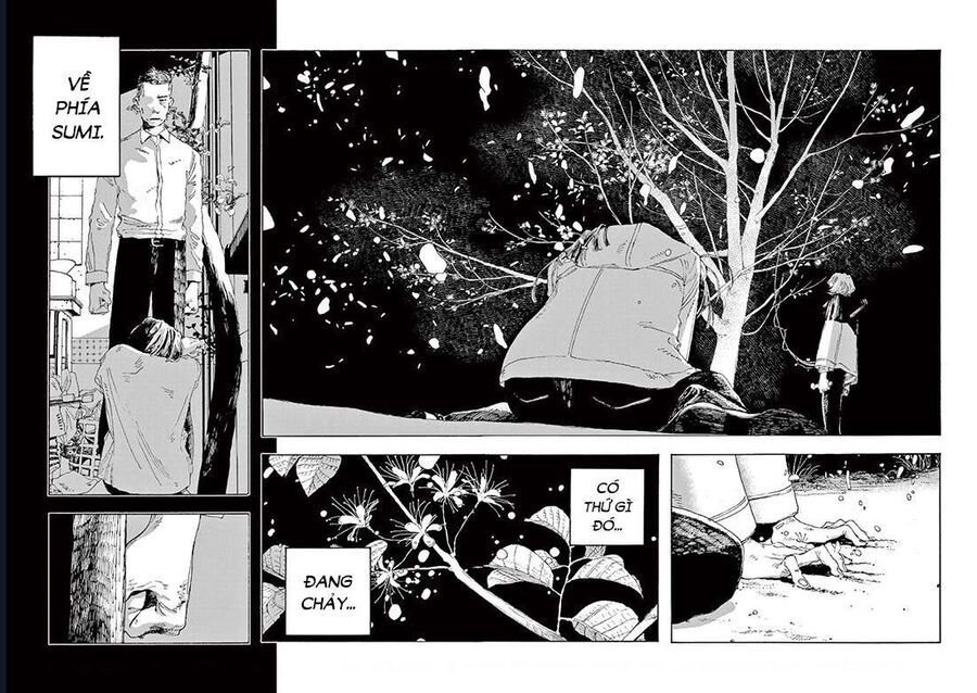 Đêm Của Kẻ Khờ Chapter 8 - Trang 21
