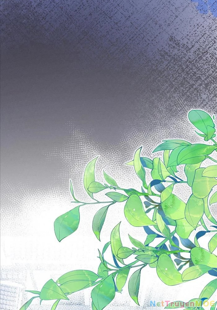 Đêm Tối Khẽ Hôn Tôi Chapter 1 - Trang 11