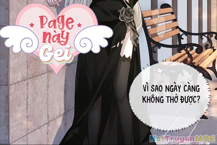Đêm Tối Khẽ Hôn Tôi Chapter 4 - Trang 18
