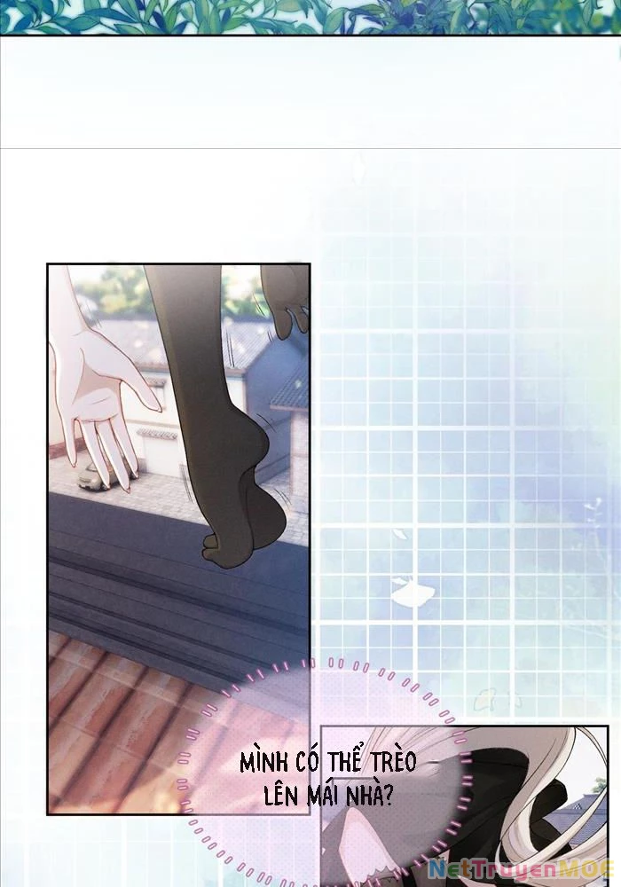 Đêm Tối Khẽ Hôn Tôi Chapter 4 - Trang 4