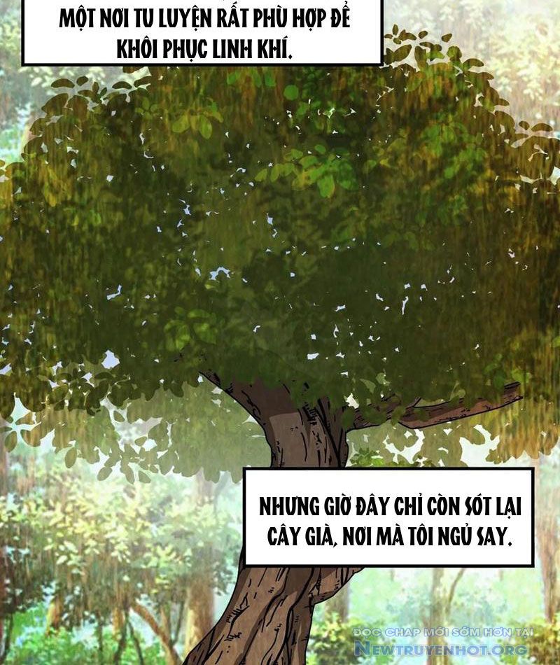 Dị Thú Của Ta Chỉ Có Trăm Triệu điểm Cao Chapter 45 - Trang 19