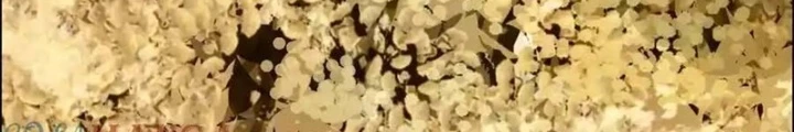 Dị Thú Mê Thành Chapter 59 - Trang 47