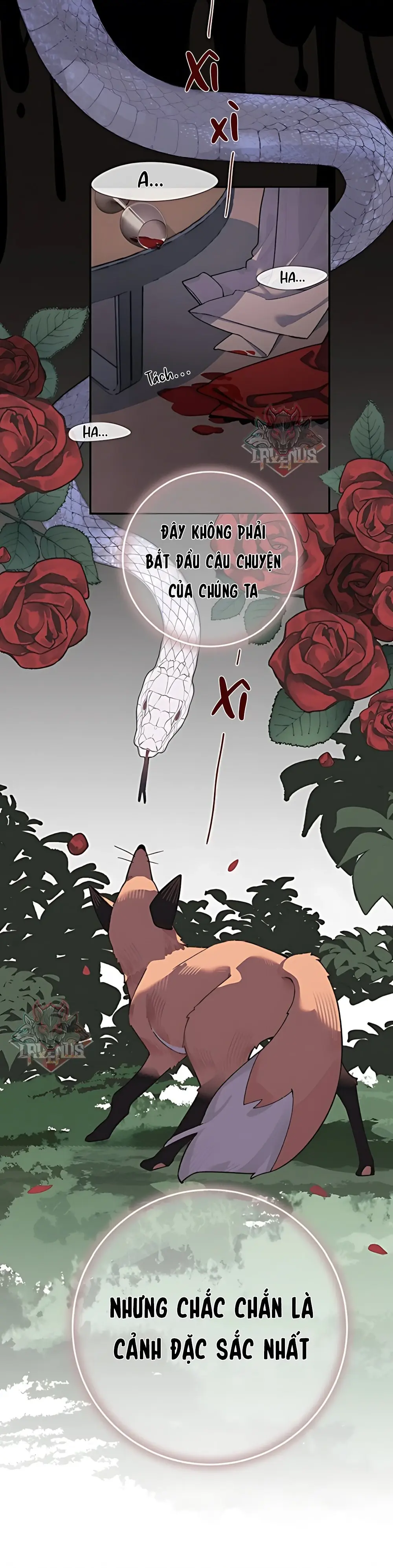 Điệu Nhảy Của Rắn Và Hồ Ly Chapter 0.5 - Trang 5