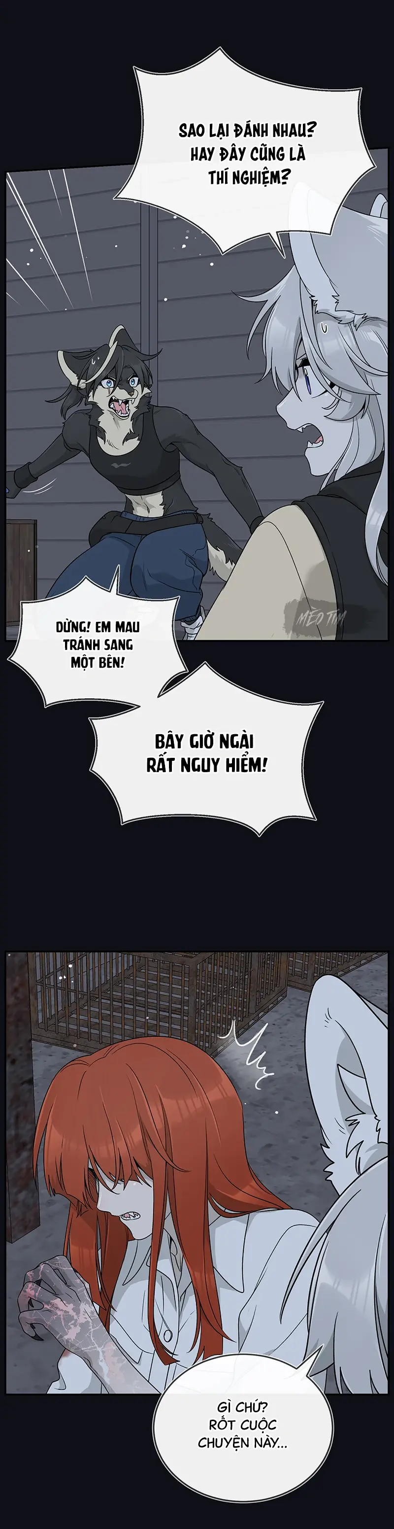 Đồ ăn của ta trông thật đáng yêu Chapter 135 - Trang 4