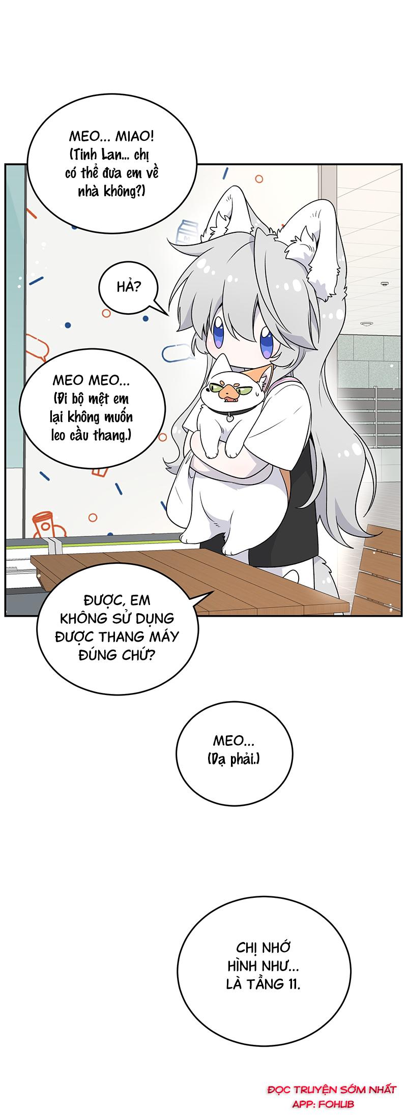 Đồ ăn của ta trông thật đáng yêu Chapter 145 - Trang 14