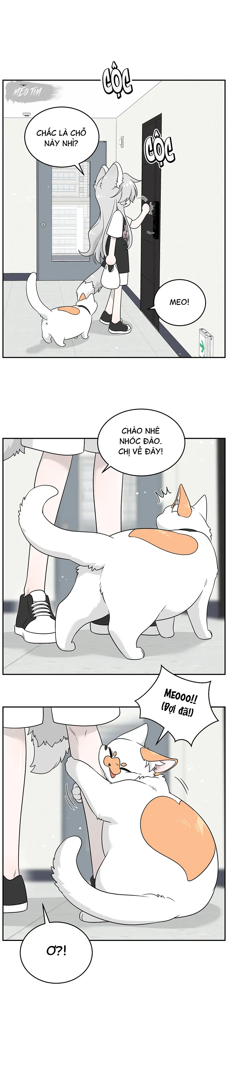 Đồ ăn của ta trông thật đáng yêu Chapter 145 - Trang 15