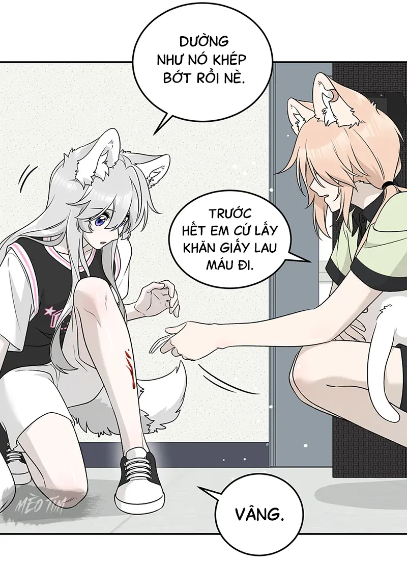 Đồ ăn của ta trông thật đáng yêu Chapter 145 - Trang 21
