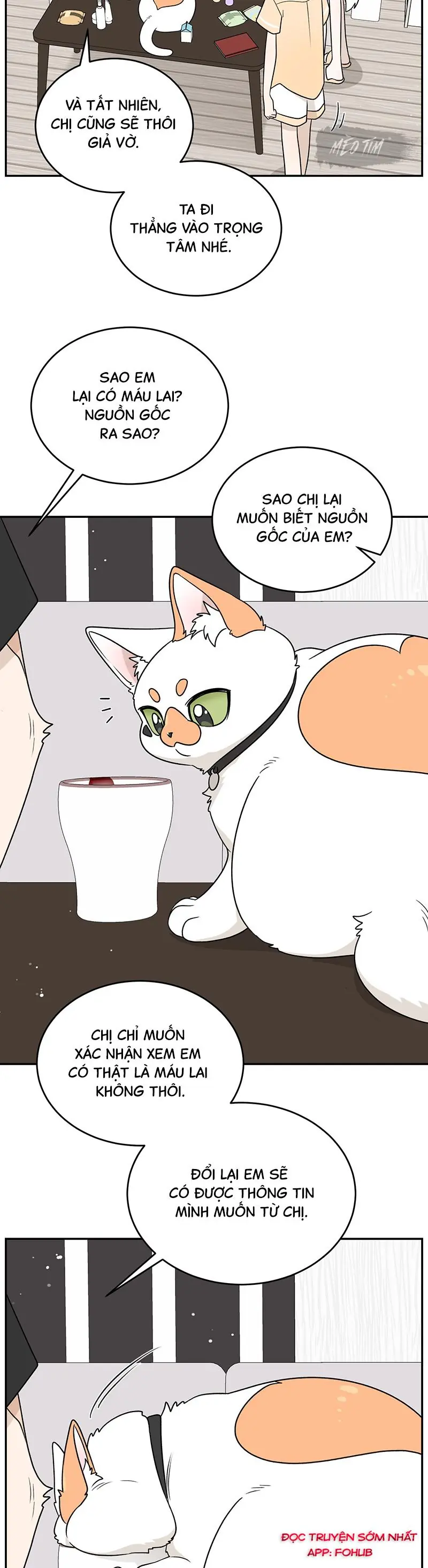 Đồ ăn của ta trông thật đáng yêu Chapter 164 - Trang 11