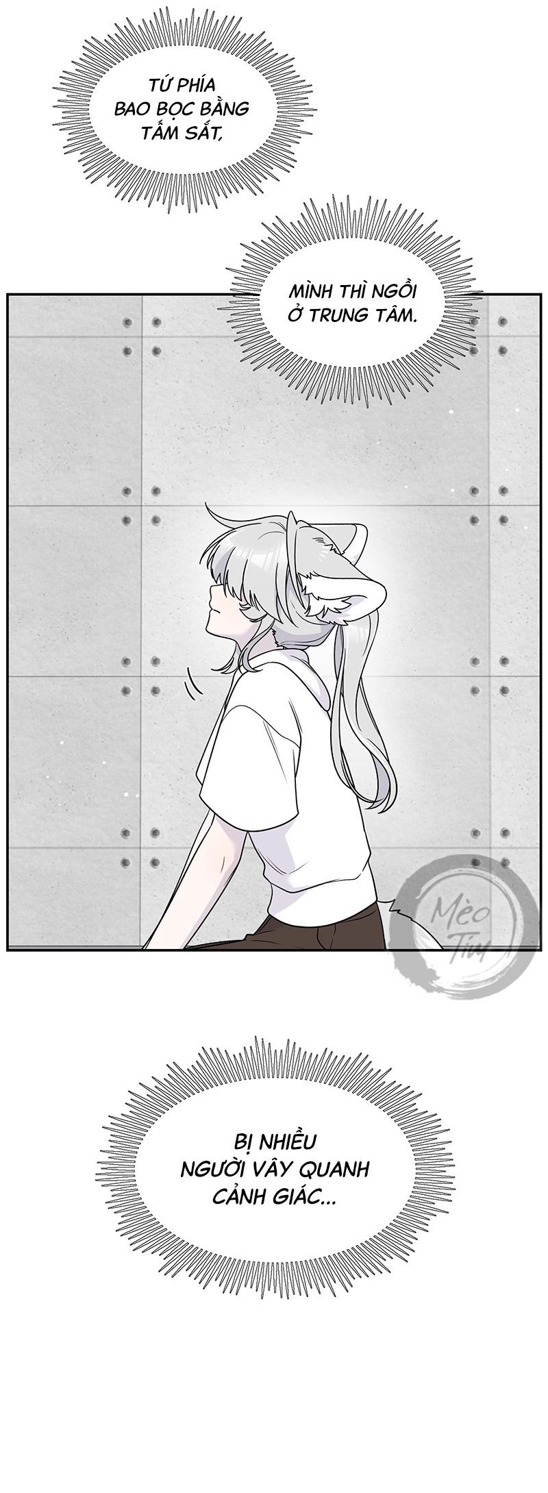 Đồ ăn của ta trông thật đáng yêu Chapter 176 - Trang 16