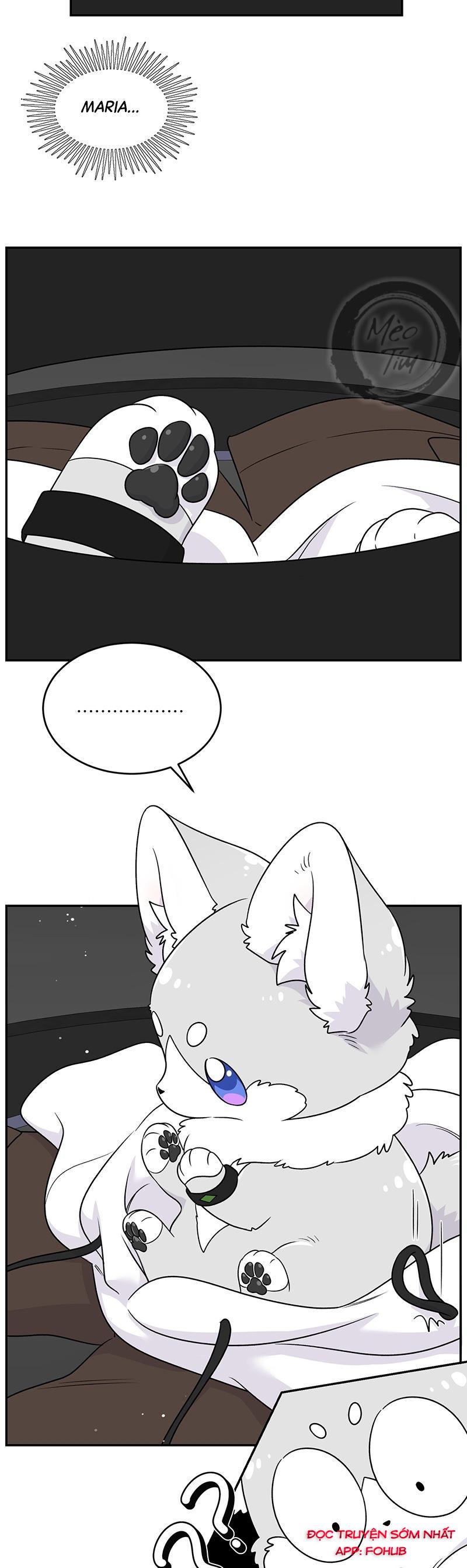 Đồ ăn của ta trông thật đáng yêu Chapter 177 - Trang 5