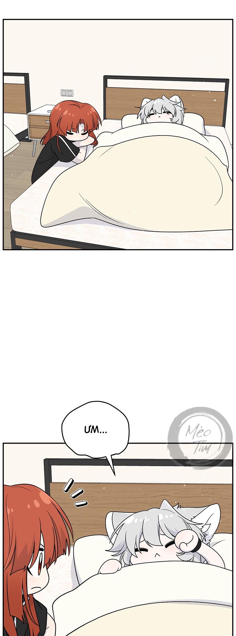 Đồ ăn của ta trông thật đáng yêu Chapter 178 - Trang 3