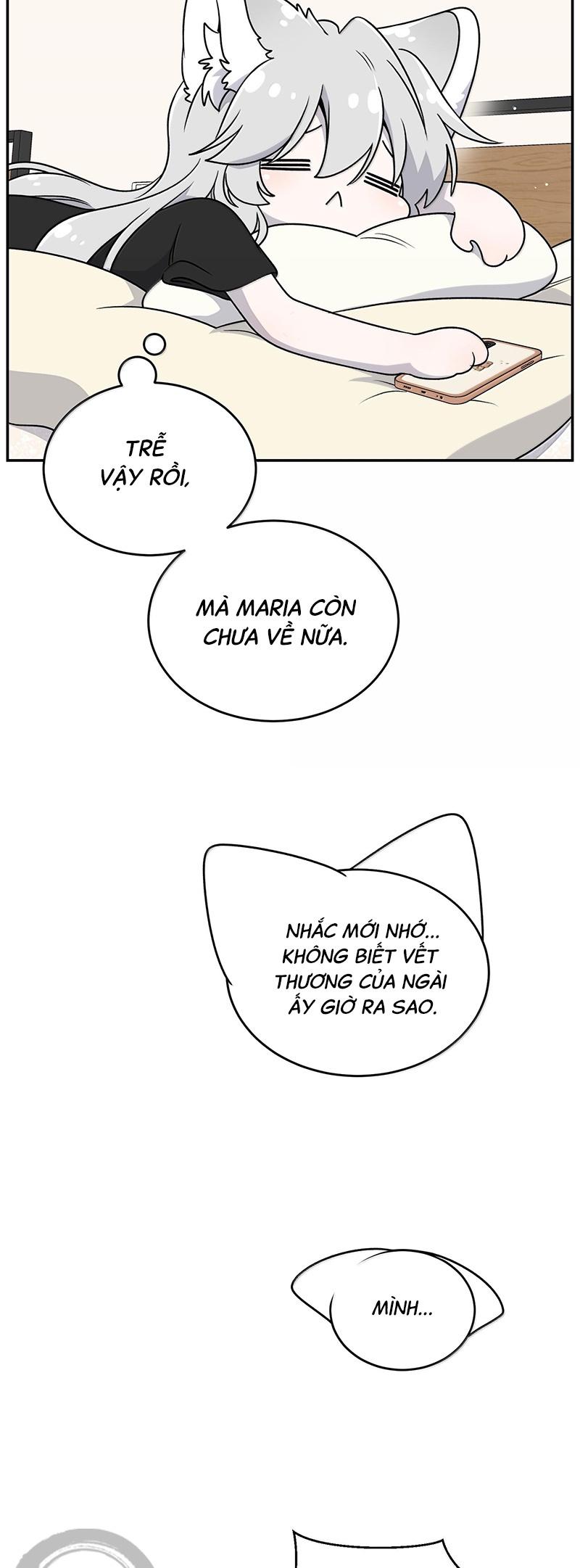 Đồ ăn của ta trông thật đáng yêu Chapter 180 - Trang 12
