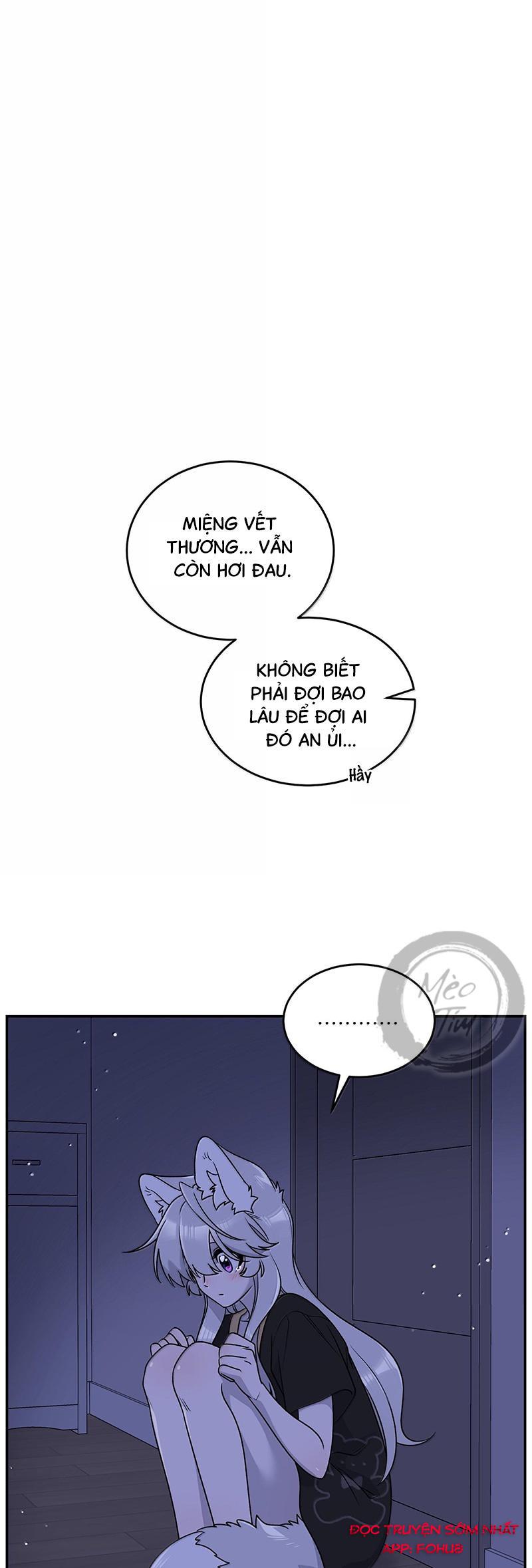 Đồ ăn của ta trông thật đáng yêu Chapter 180 - Trang 2