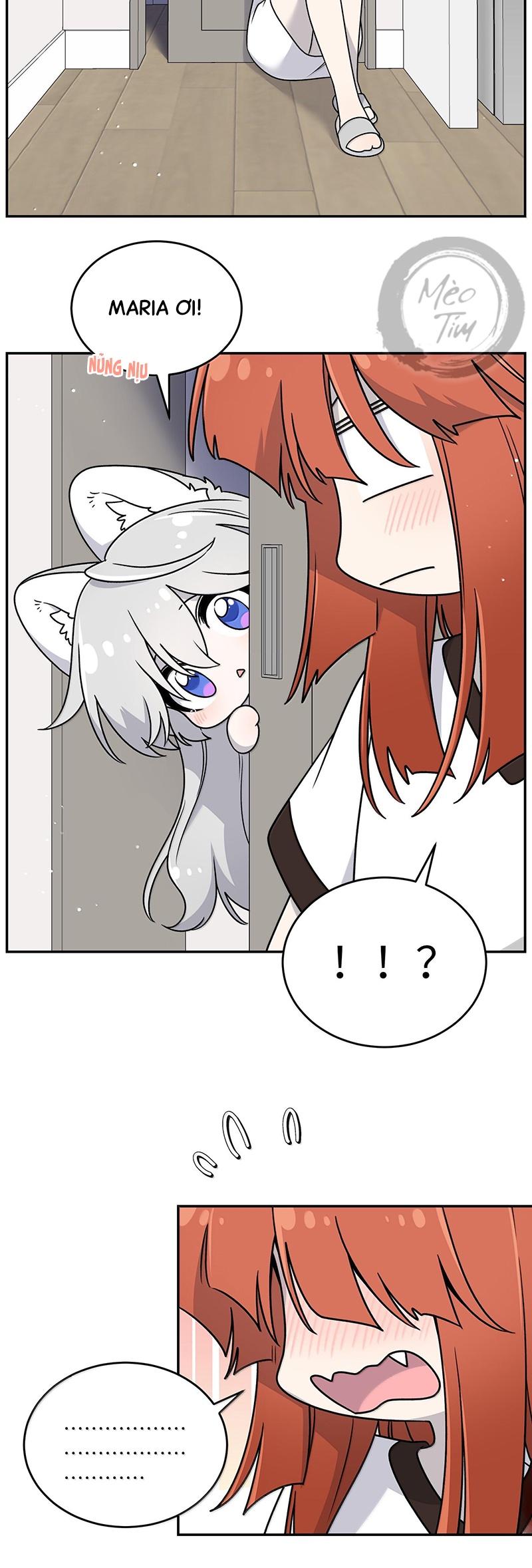 Đồ ăn của ta trông thật đáng yêu Chapter 180 - Trang 4