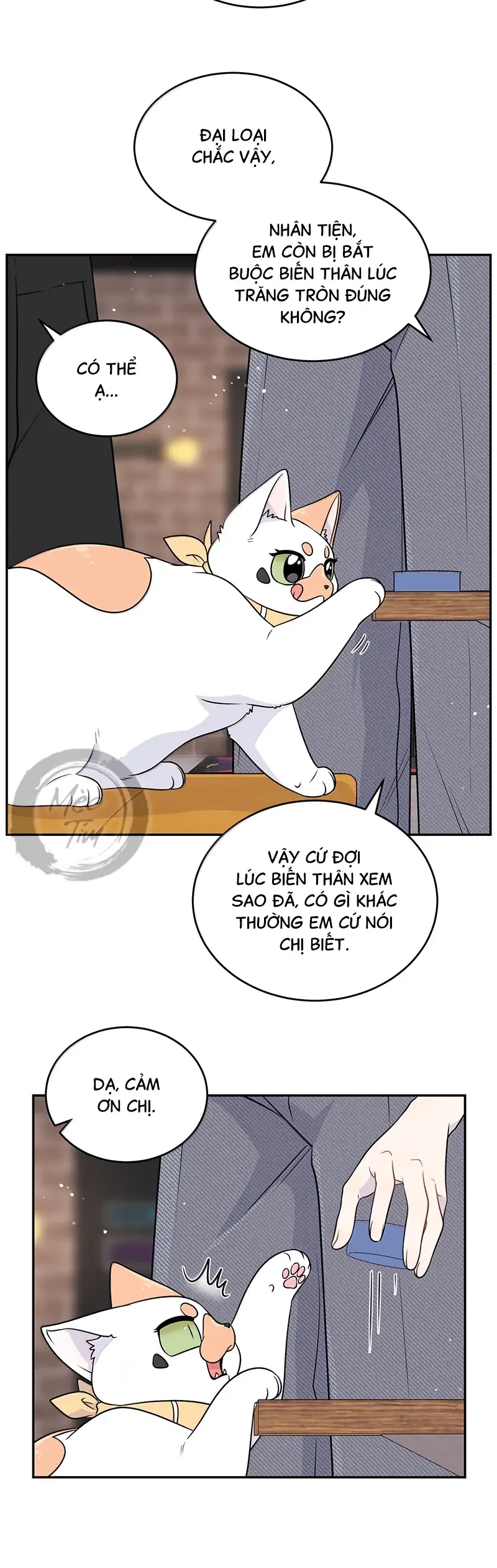 Đồ ăn của ta trông thật đáng yêu Chapter 193 - Trang 15