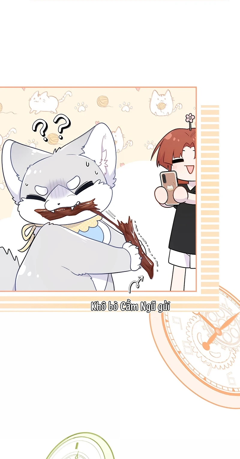 Đồ ăn của ta trông thật đáng yêu Chapter 202 - Trang 6