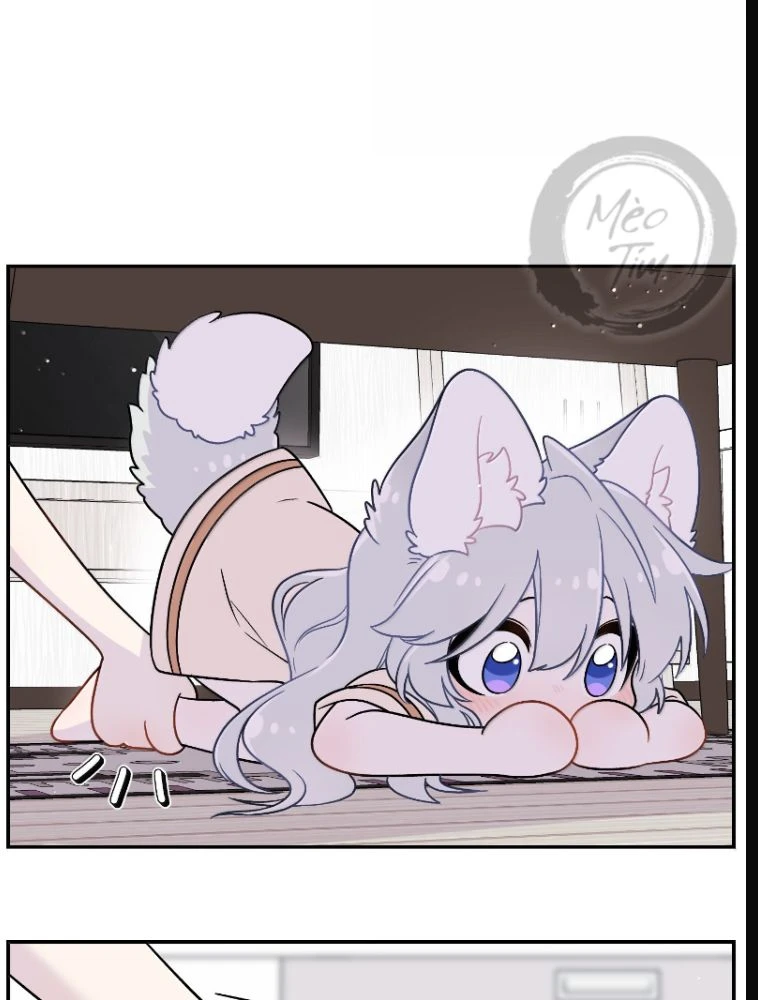 Đồ ăn của ta trông thật đáng yêu Chapter 218 - Trang 48