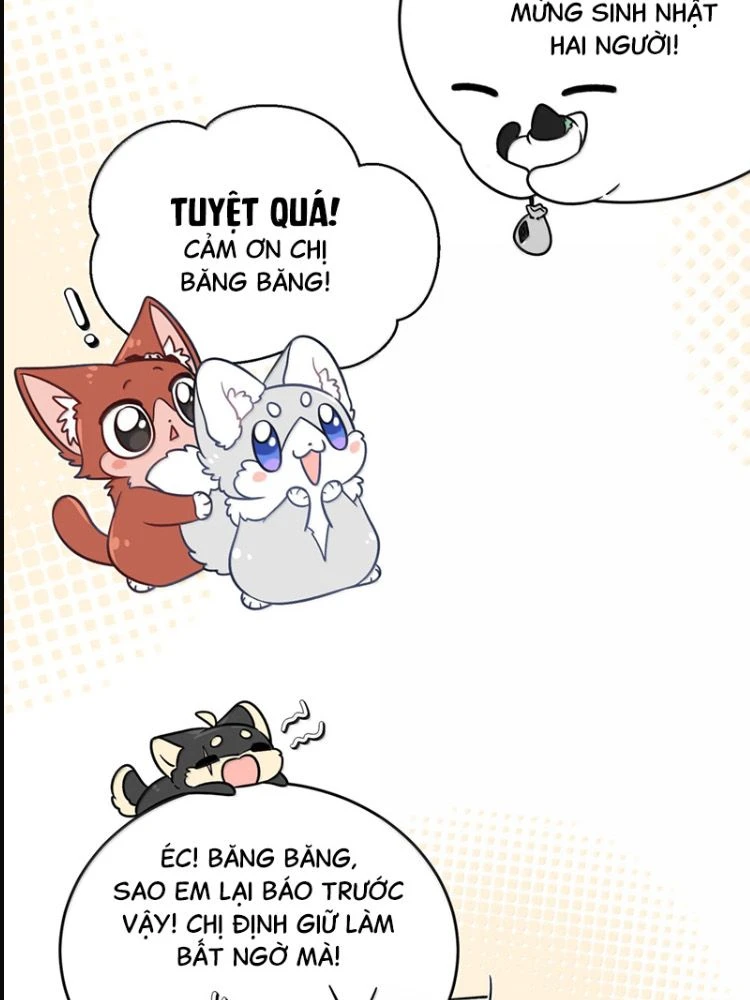 Đồ ăn của ta trông thật đáng yêu Chapter 223 - Trang 12