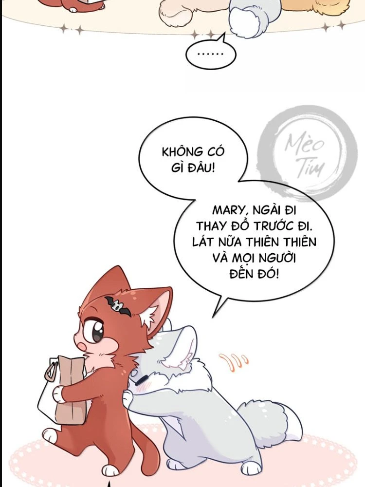 Đồ ăn của ta trông thật đáng yêu Chapter 223 - Trang 25
