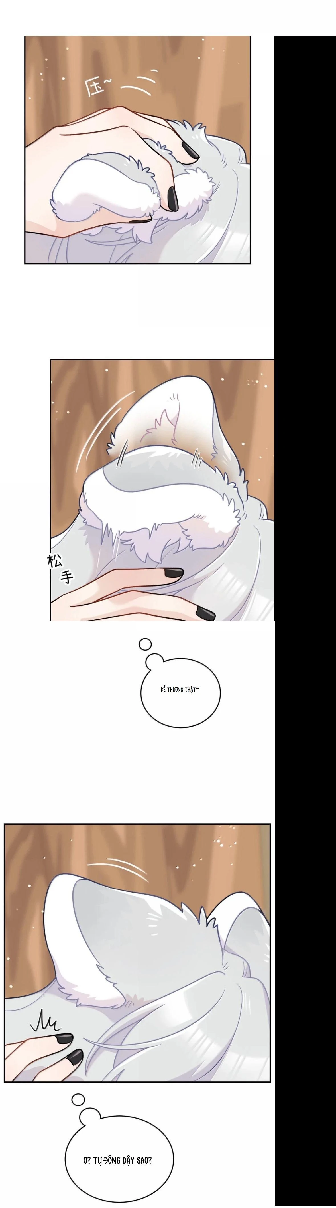Đồ ăn của ta trông thật đáng yêu Chapter 225 - Trang 6