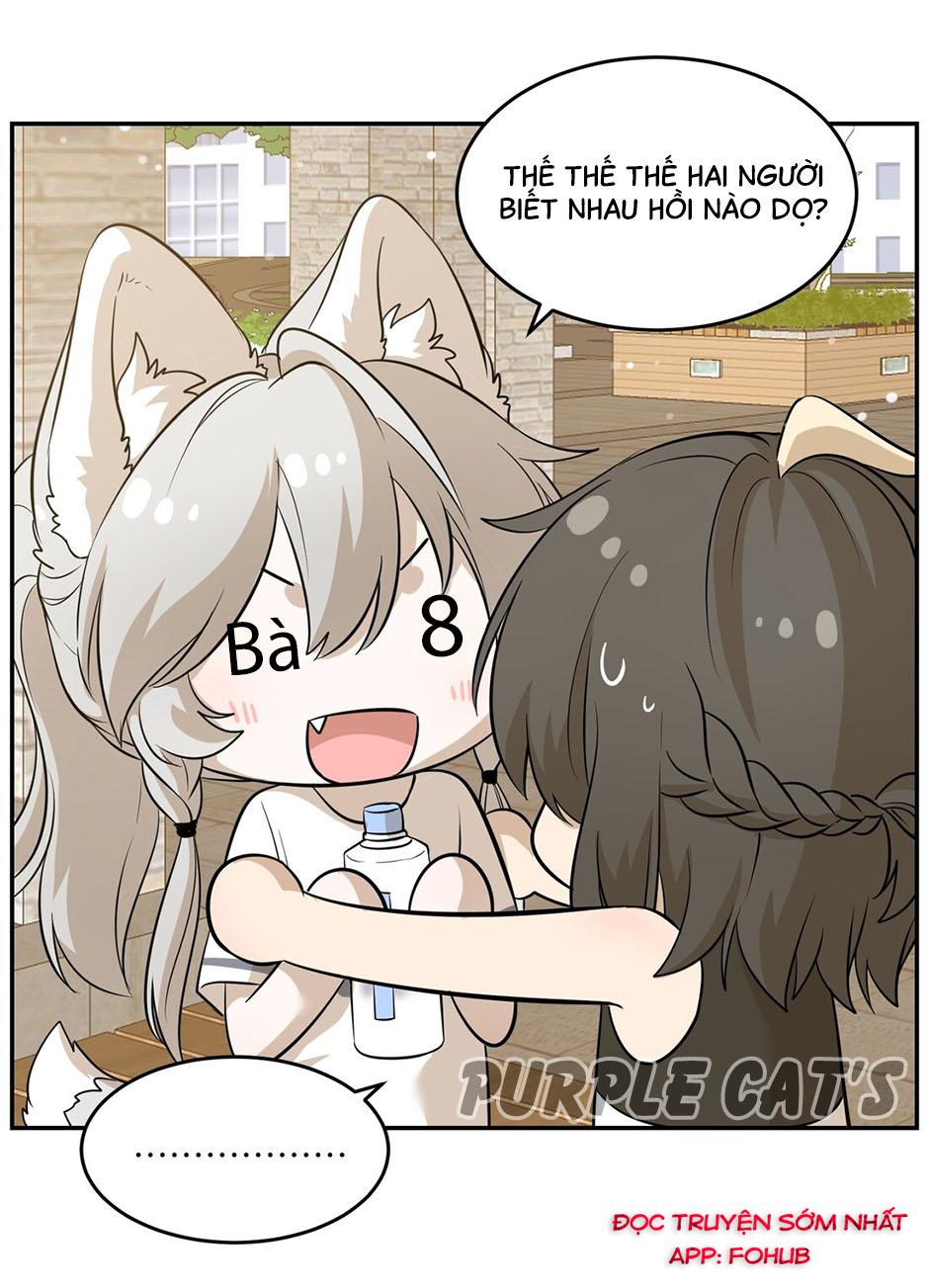 Đồ ăn của ta trông thật đáng yêu Chapter 56 - Trang 11
