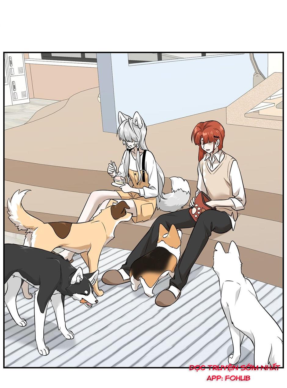 Đồ ăn của ta trông thật đáng yêu Chapter 67 - Trang 11