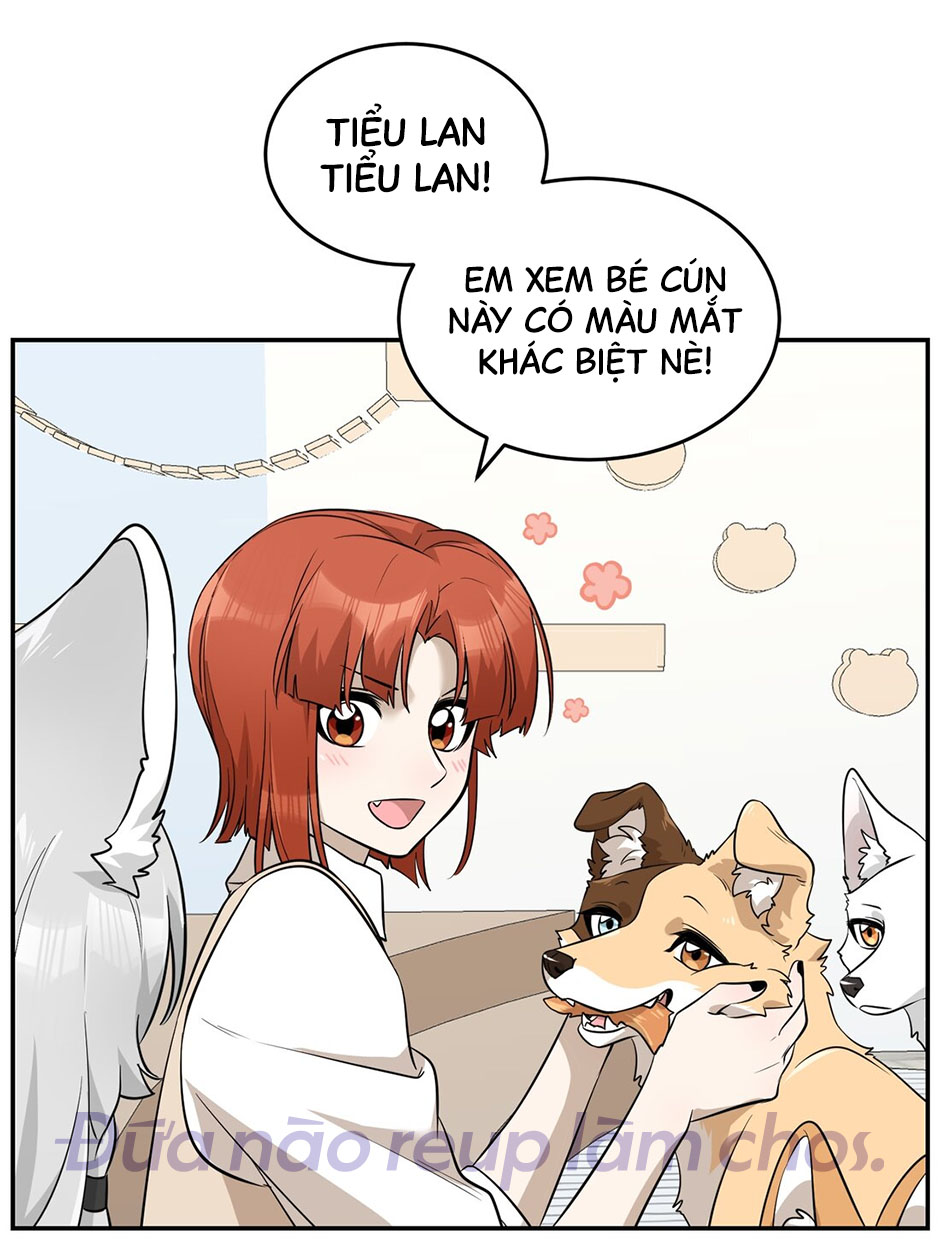 Đồ ăn của ta trông thật đáng yêu Chapter 67 - Trang 13