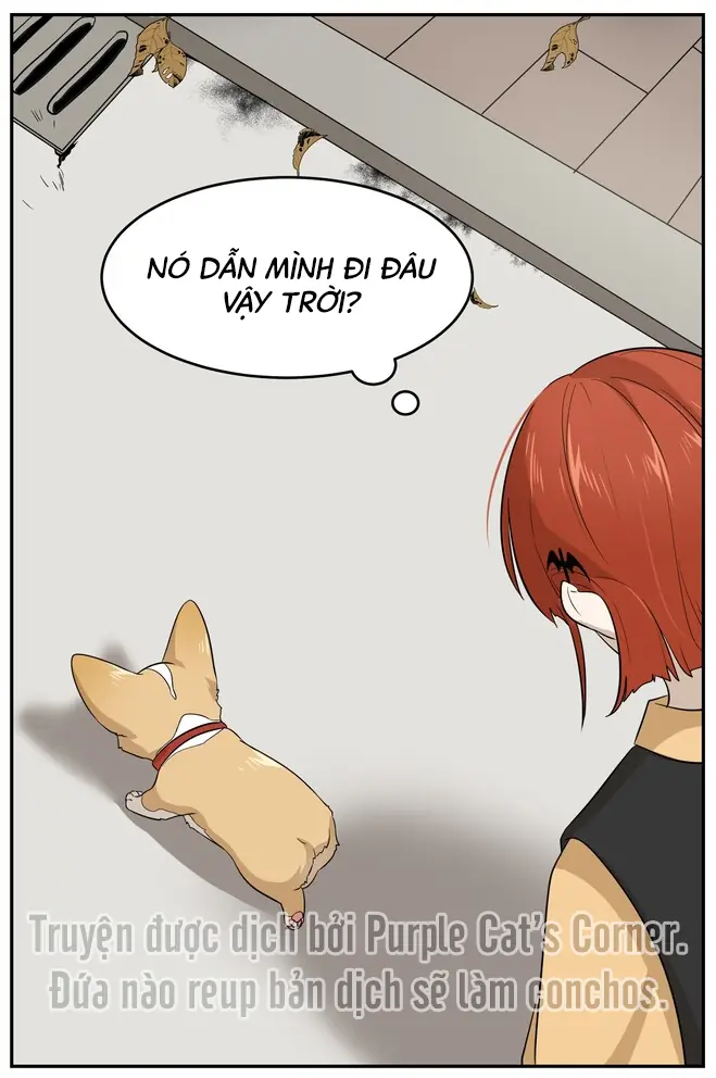 Đồ ăn của ta trông thật đáng yêu Chapter 8 - Trang 18