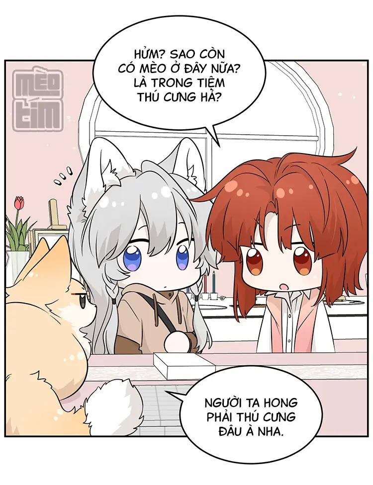 Đồ ăn của ta trông thật đáng yêu Chapter 95 - Trang 9