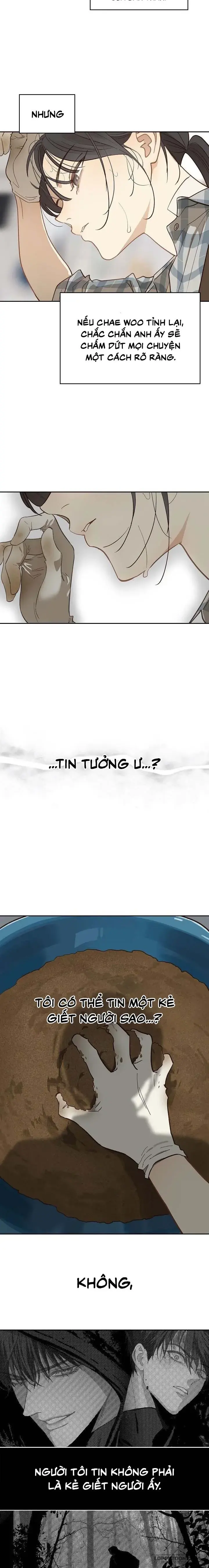 Đóa Hoa Là Mồi Nhử Chapter 16 - Trang 16