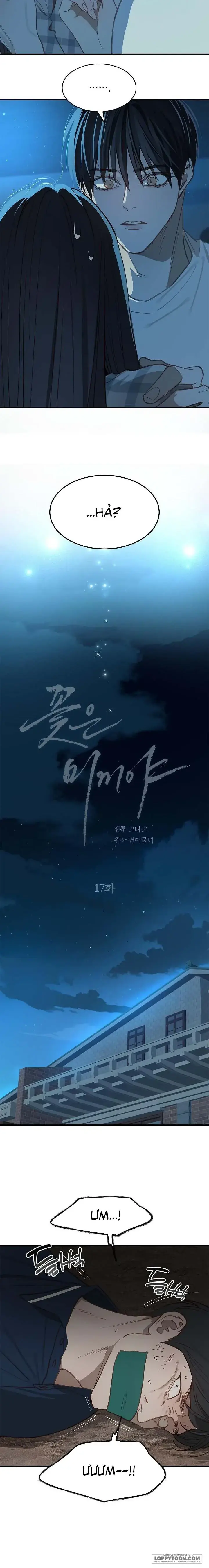 Đóa Hoa Là Mồi Nhử Chapter 17 - Trang 4