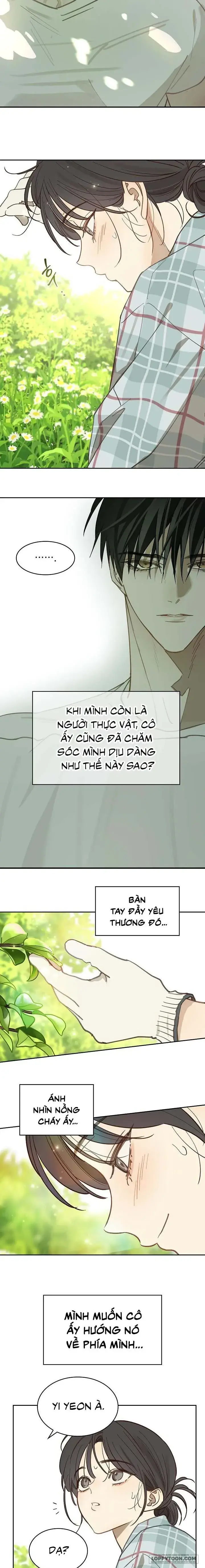 Đóa Hoa Là Mồi Nhử Chapter 18 - Trang 24