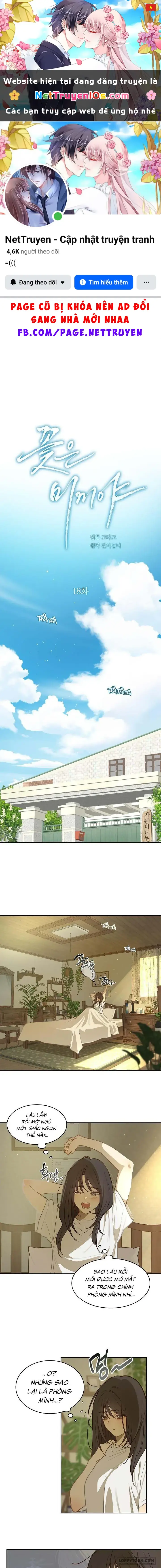 Đóa Hoa Là Mồi Nhử Chapter 18 - Trang 2