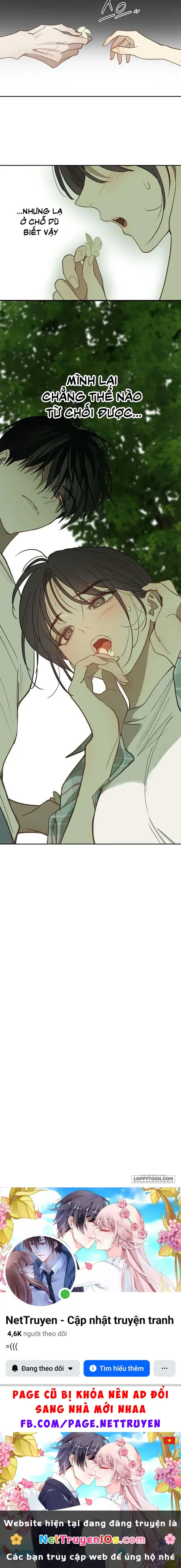 Đóa Hoa Là Mồi Nhử Chapter 18 - Trang 34