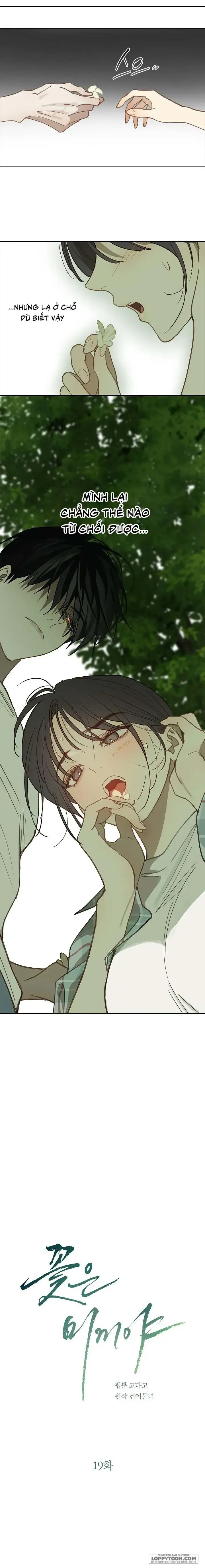 Đóa Hoa Là Mồi Nhử Chapter 19 - Trang 4