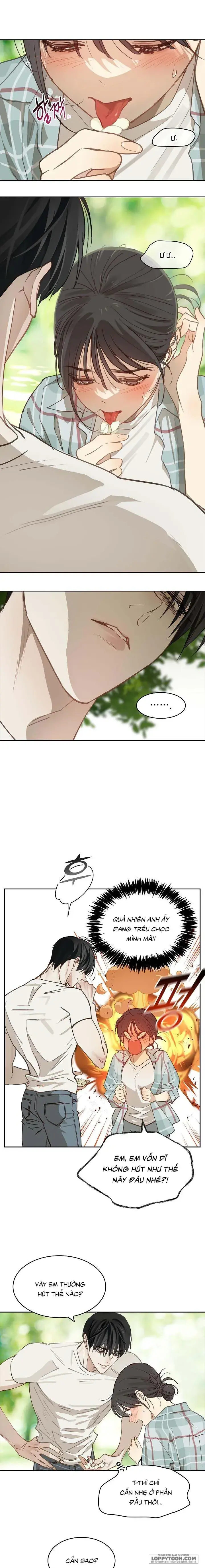 Đóa Hoa Là Mồi Nhử Chapter 19 - Trang 6