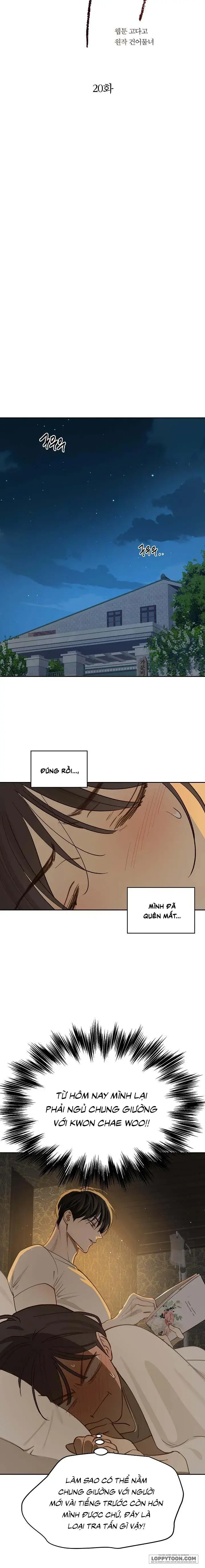 Đóa Hoa Là Mồi Nhử Chapter 20 - Trang 18
