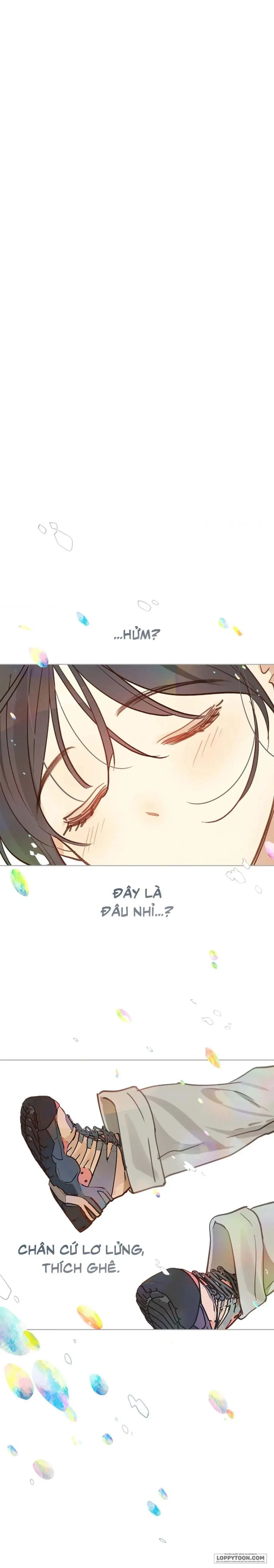 Đóa Hoa Là Mồi Nhử Chapter 23 - Trang 12