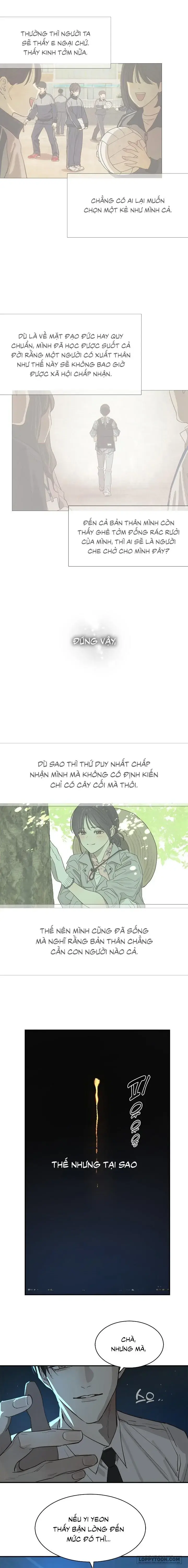 Đóa Hoa Là Mồi Nhử Chapter 36 - Trang 12