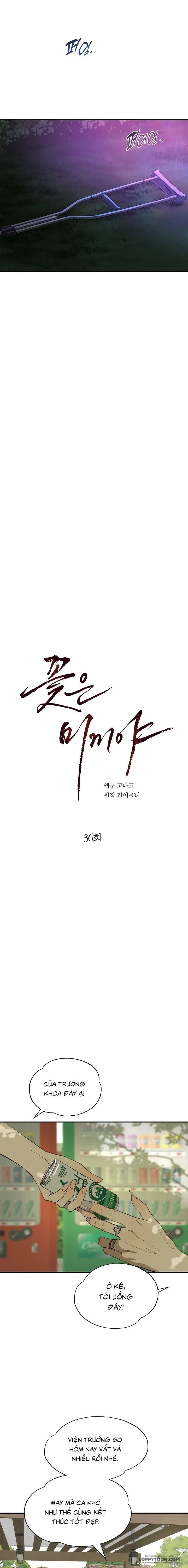 Đóa Hoa Là Mồi Nhử Chapter 36 - Trang 22