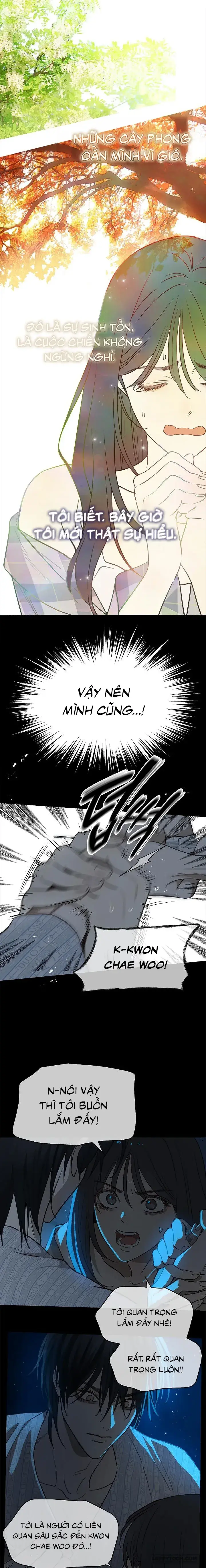 Đóa Hoa Là Mồi Nhử Chapter 4 - Trang 4