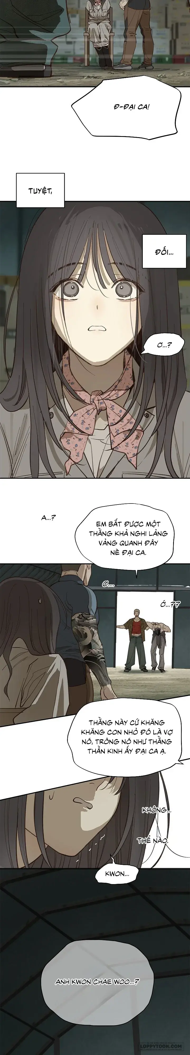 Đóa Hoa Là Mồi Nhử Chapter 41 - Trang 16