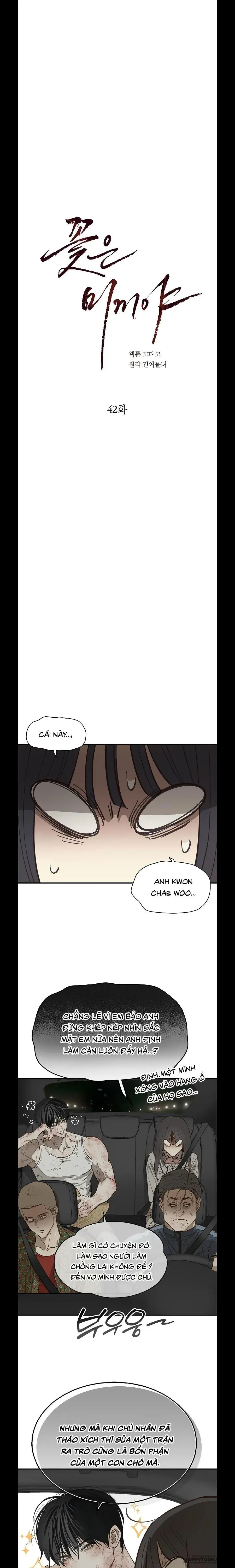 Đóa Hoa Là Mồi Nhử Chapter 42 - Trang 18