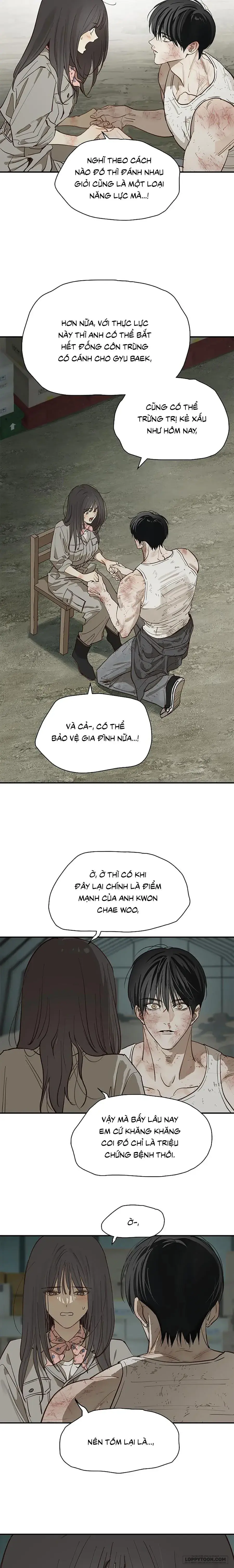 Đóa Hoa Là Mồi Nhử Chapter 42 - Trang 6